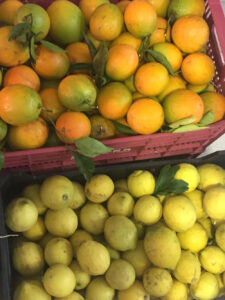Orangental Soller Zitronen