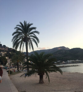 Palmenstrand Soller Mallorca