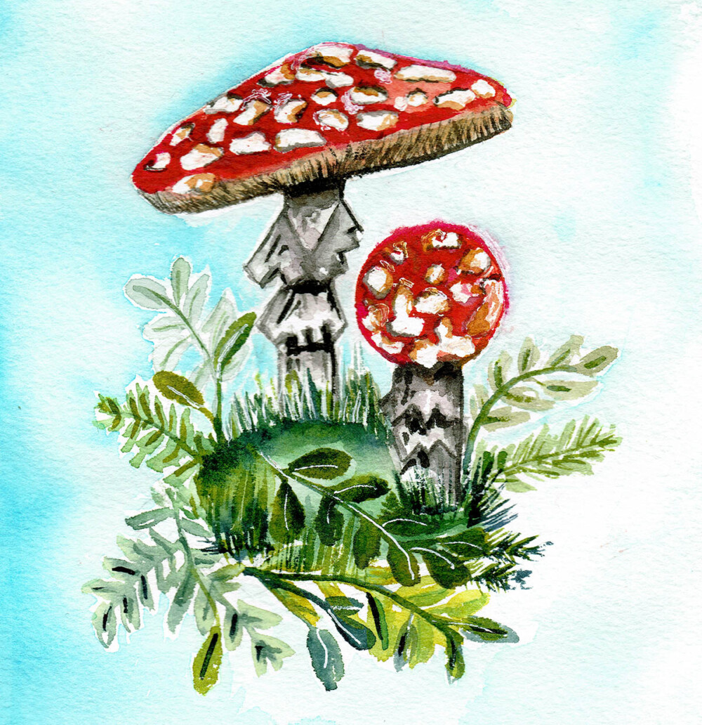 Pilz mit Aquarellfarben malen - Frau Maravillosa - Ursula Tuecks