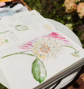 Botanik Skizzenbuch Tagebuch