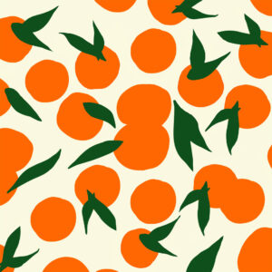 Orangen Illustrationen von Ursula Tücks alias Frau Maravillosa